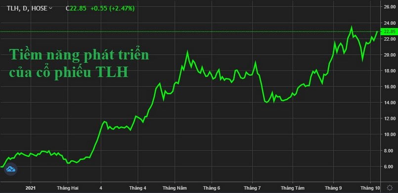 Đánh giá tiềm năng phát triển của cổ phiếu tlh năm 2022