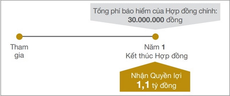 Trường hợp tử vong/thương tật toàn bộ vĩnh viễn do tai nạn