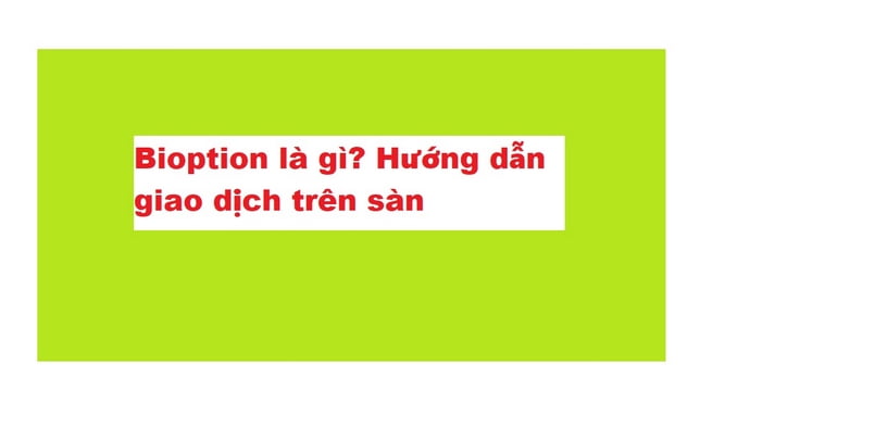 Bioption là gì? Hướng dẫn giao dịch trên sàn Bioptions 2023