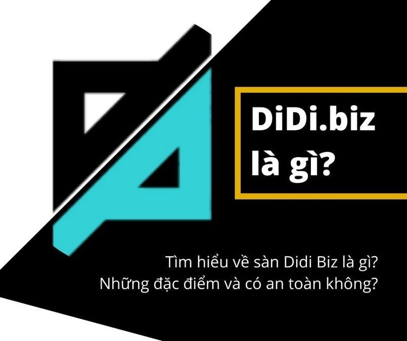 Didi Biz là gì?