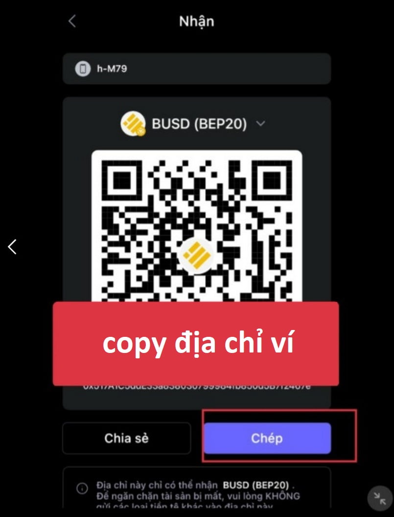 Matrix Chain là gì: Copy địa chỉ ví