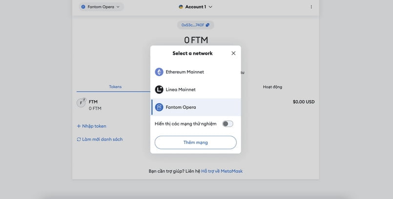 Hoàn thành thêm mạng Fantom vào Metamask