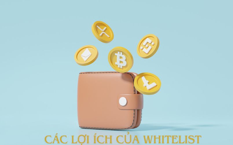 Whitelist có vai trò như thế nào?